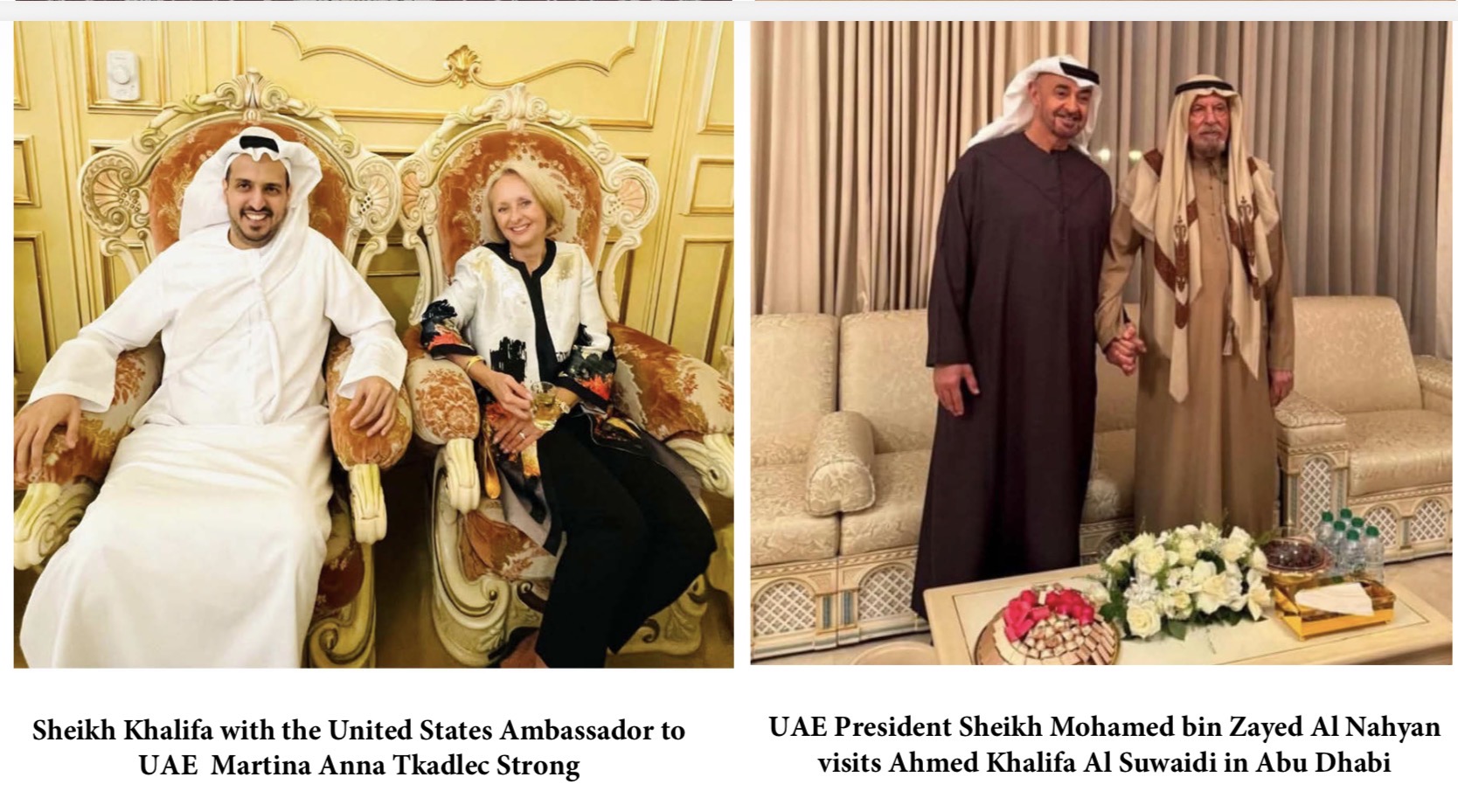 UAE institutional visits