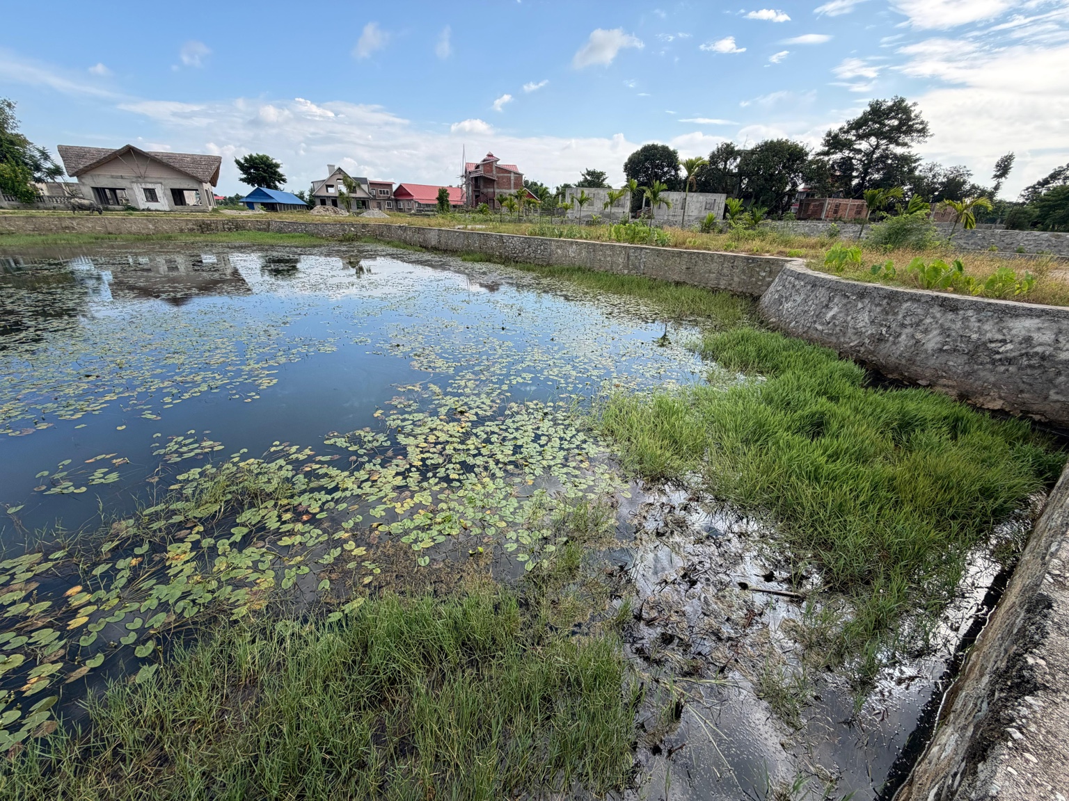 Pond embankment and surrounding grounds — Ratuwamai, Koshi Province, Nepal
