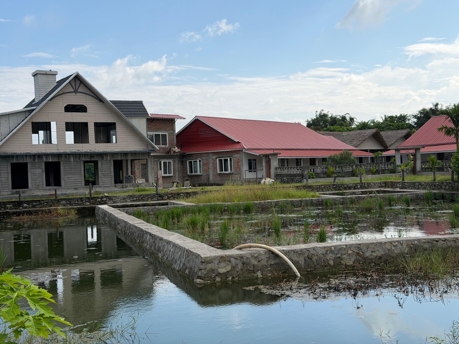 Buildings facing the pond — Ratuwamai, Koshi Province, Nepal