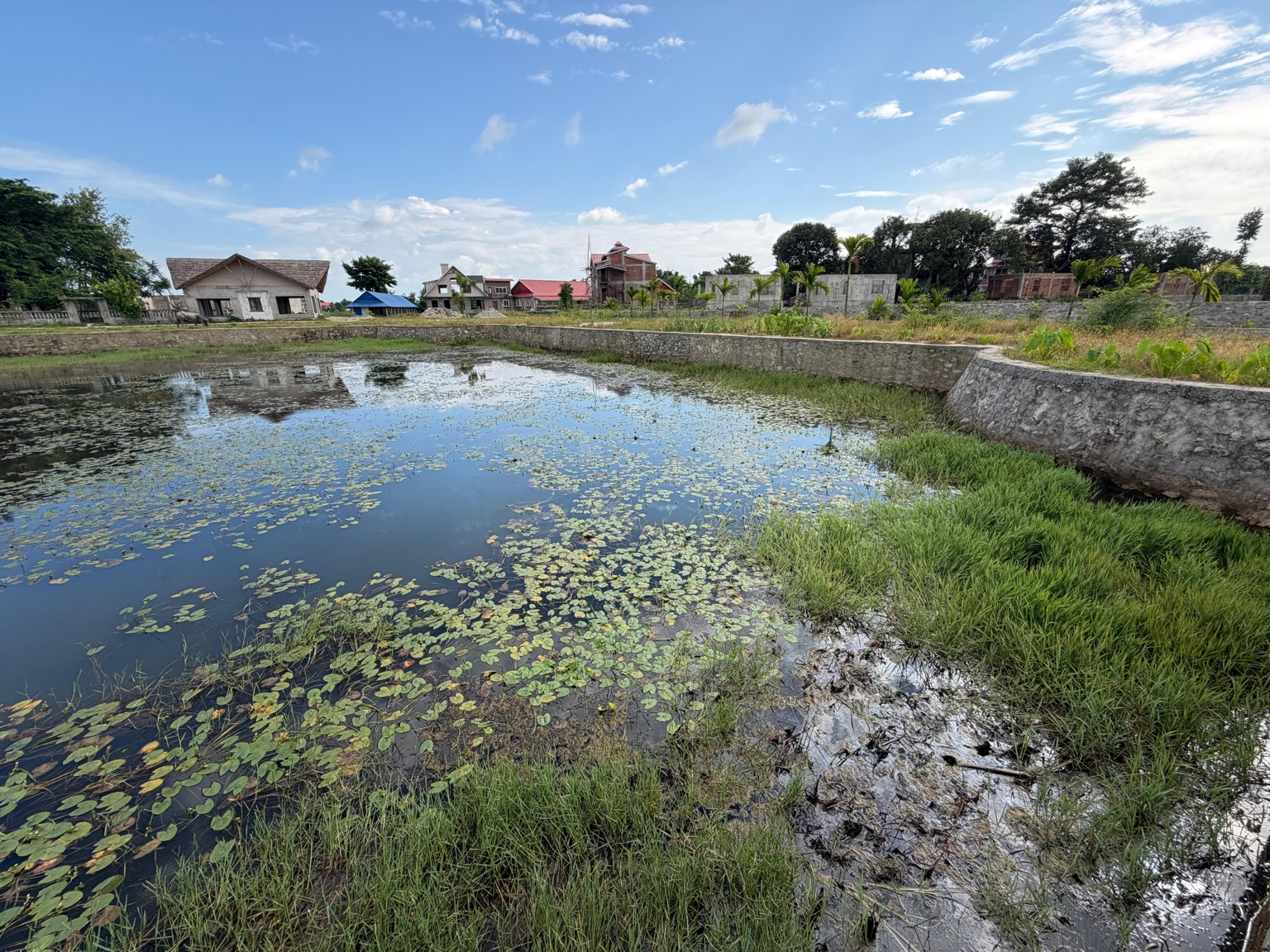 Pond, planted banks and surrounding buildings at the Centre in Ratuwamai