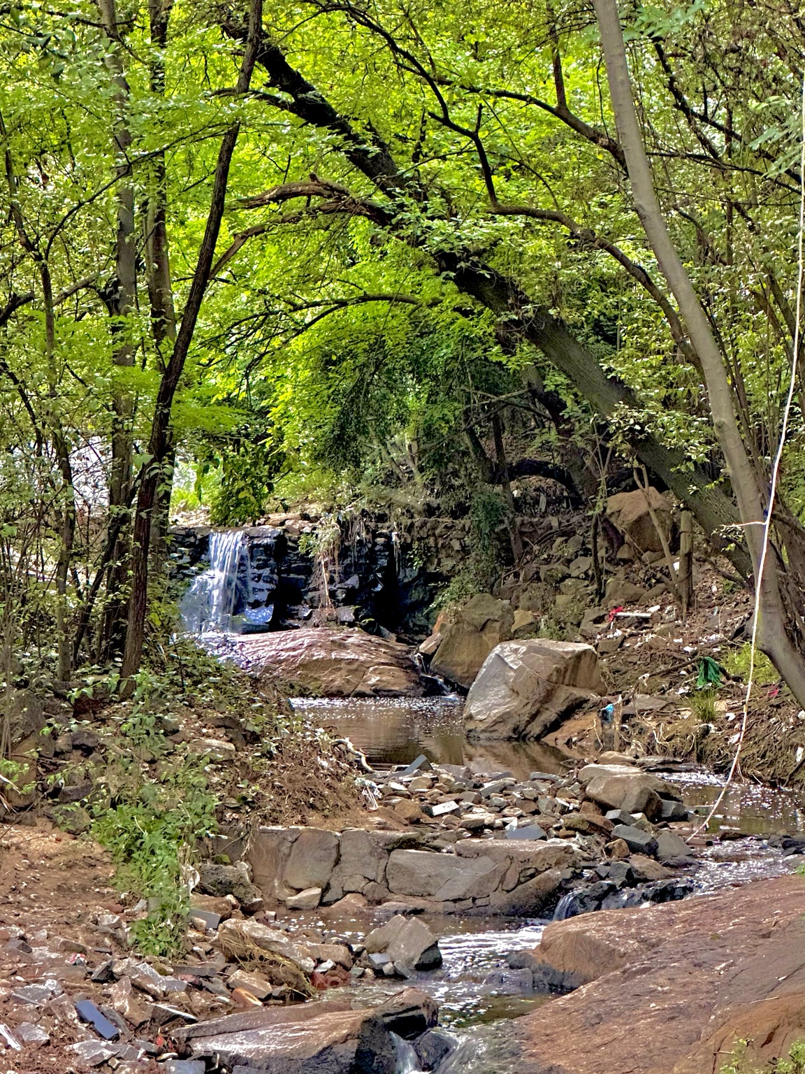 Stream and landscaped grounds